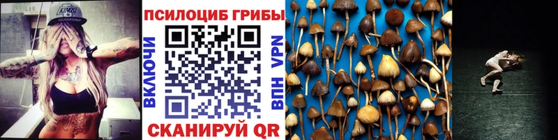 Псилоцибиновые грибы ЛСД Купить Пудож