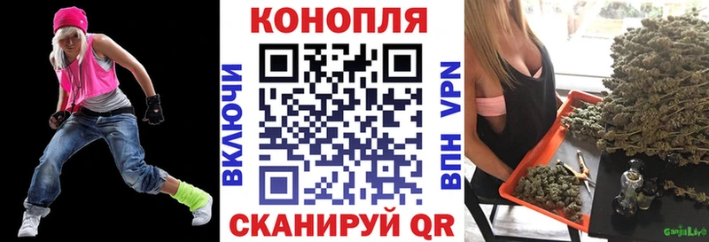 Купить закладки  Пудож  Шишки марихуана индика 